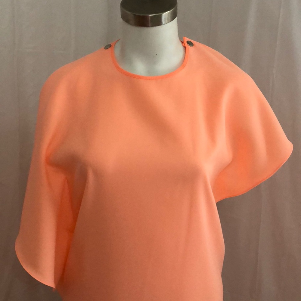 Blaque Label Sheer Ruffle Dress - Picture 2 of 8
